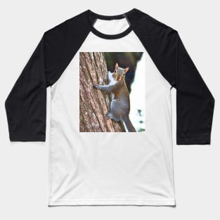 Climbing Up The Tree Baseball T-Shirt